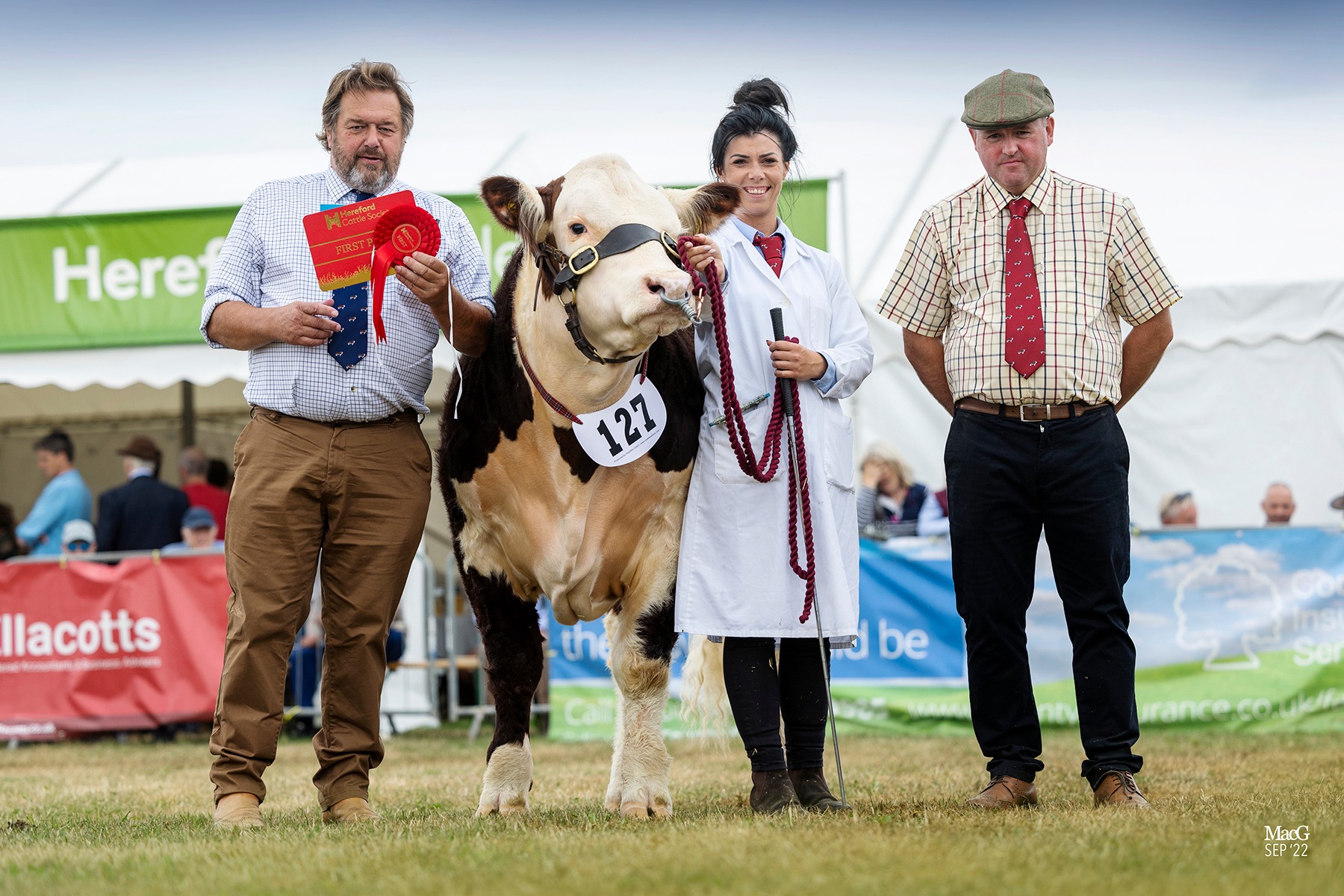 Read more about the article A successful summer show circuit for team Studdolph